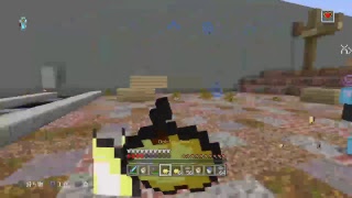 PVPするよ（アスレチックもやるかも）