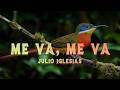 Julio Iglesias - Me Va, Me Va (Lyrics/Letra)