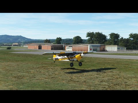 MSFS - Landing with a taildragger without floating