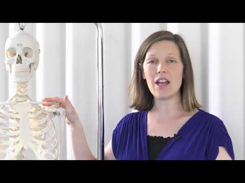 Osteopathic Lymphatic Pump Techniques