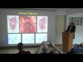 Uretra Darlığı Cerrahi Yaklaşımda Anatomik Nirengi Noktaları - Prof. Dr. Cankon Germiyanoglu