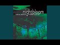 Nightbloom part 2