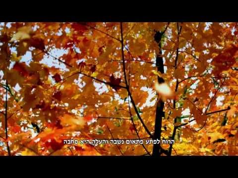 העלה הקטן - העלה והתולעת