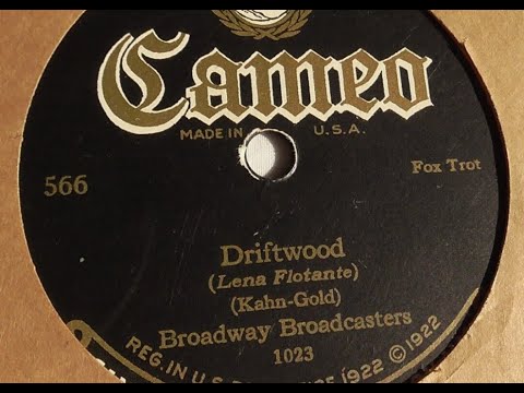Broadway Broadcasters "Driftwood" Cameo 1023 (1924) Sam Lanin dance band ensemble Roaring '20s jazz