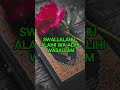 Prophet Muhammad S A W The Greatest Human Of All Time ️ Love Allah Islam Muhammadﷺ Shorts