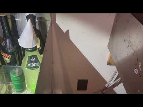 Restaurant Heavily Infested with Fruit Flies in Montgomery, NJ