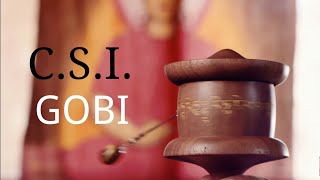 C.S.I. GOBI &quot;disidratata&quot; (Oṃ Maṇi Padme Hūṃ)