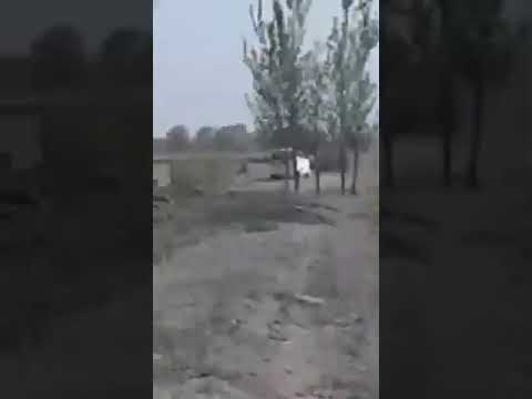 Шулуха
