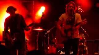 Van Dik Hout,  Nu doet het Pijn, Palmparkies, Wantijpark, Dordrecht