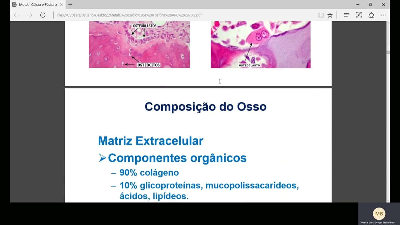 Aula de Metabolismo Ósseo e Metabolismo de Cálcio e Fósforo