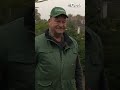 Ho, ho, ho! Zo houd jij jouw kerstboom lange tijd mooi! | RTV Oost