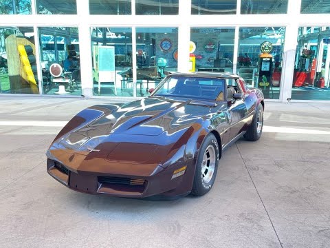 1980 Chevrolet Corvette (CC-1671093) for sale in Palmetto, Florida