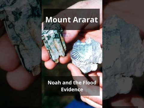 Noah's Ark Discovered Documentary: Mt. Ararat & Evidence of the Flood - Full Video in Description