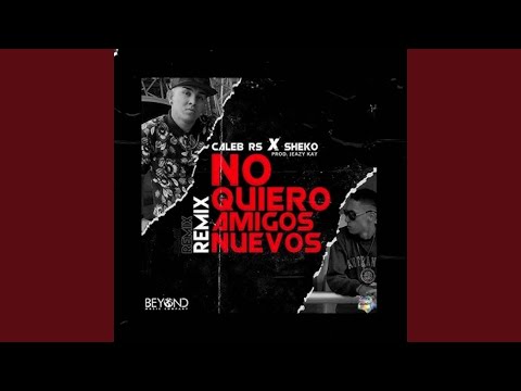 No Quiero Amigos Nuevos (Remix)