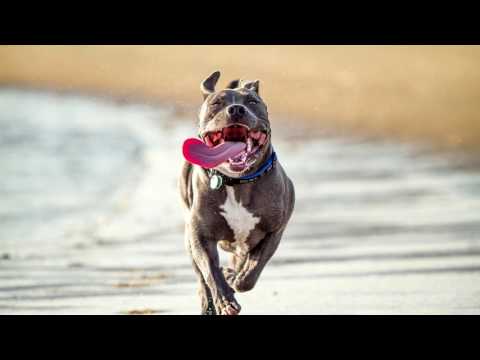 HARD AGGRESSIVE RAP BEAT Hip Hop Instrumental 2017