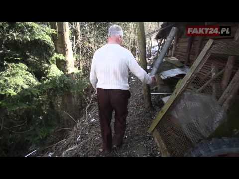 Sołtys odnalazł zwłoki noworodka