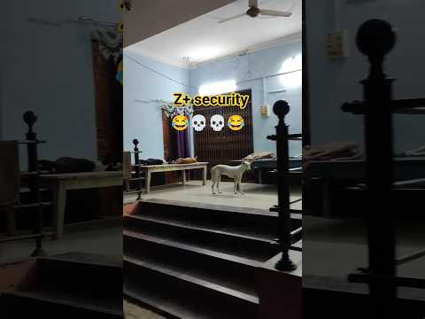Z+security 💀😂😂#viral #trending #viralvideo #shortvideo #dogeshbhai #shorts #funnyshorts
