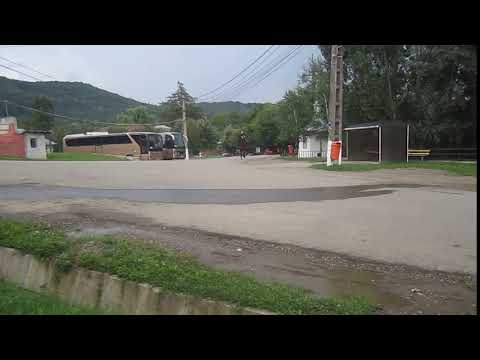 Gallop la Pe cai in natura-Aricestii-Zeletin