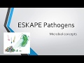 ESKAPE Pathogens