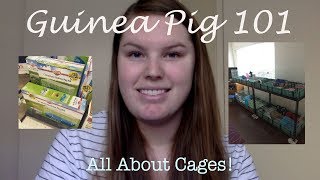 Guinea Pig 101: Cages