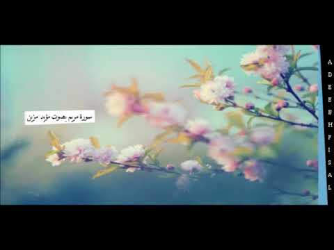 Veoma smirujuće učenje Kur'ana | 19. Sura Merjem | سورة مريم - مؤيد مزين