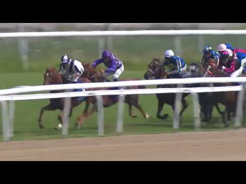2019.06.16 Stockholm Arabian Cup (SWE) - Ayman