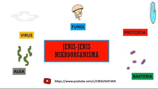 Download lagu JENIS-JENIS MIKROORGANISMA #cikgusafuan mp3
