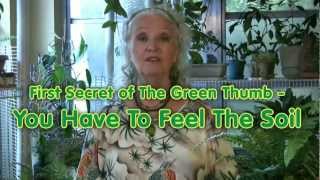 Houseplants #2: How to tell if the soil is wet, moist, or dry