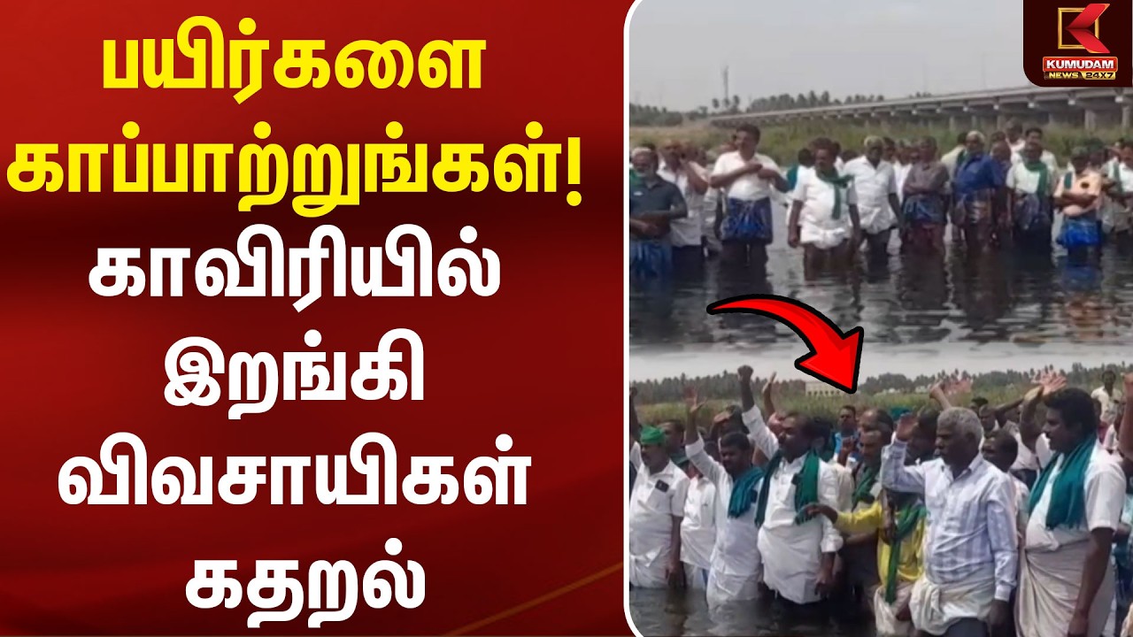 பயிர்களை காப்பாற்றுங்கள்! காவிரியில் இறங்கி விவசாயிகள் கதறல் |Kaveri Water|Agriculture |Kumudam News