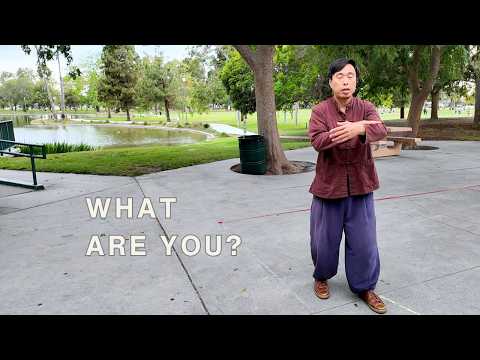 Tai Chi Changes What You Think You Are