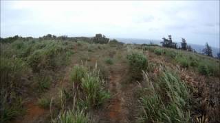 Babe's Ride Thru Jaws