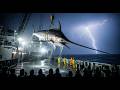 The Giant Swordfish Hunt in a Violent Arctic Storm | Sharks, Lightning & Extreme Ocean Fishing