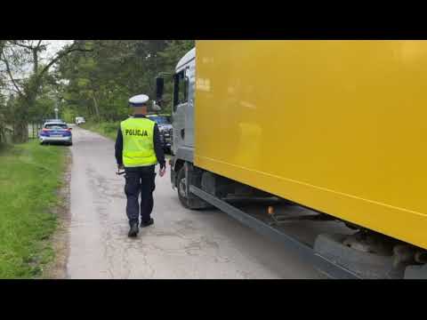 Jeden widział sarnę, kolejny twierdził, że ma tik nerwowy...