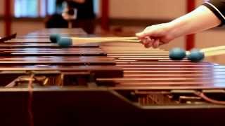 clusters & snow bells // marimba & vibraphone improvised duo