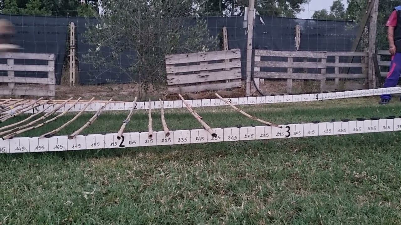 Addestramento thumbnail