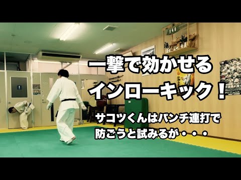 一撃で効かせるインローキック！