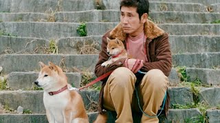 犬連れの平和なおっさんが脅され、公園が閉鎖!?映画『柴公園』予告編 mqdefault - 犬連れの平和なおっさんが脅され、公園が閉鎖!?映画『柴公園』予告編