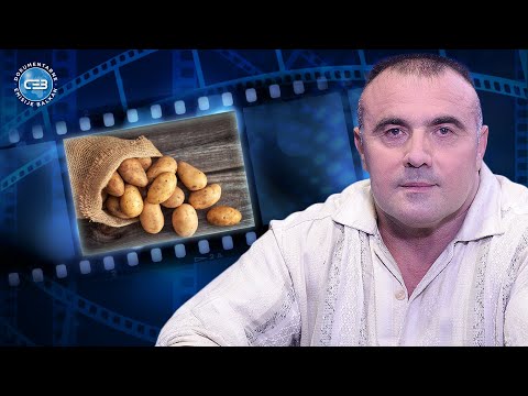 BALKAN INFO: Zoran Vejić - Krompir sam uvek jeo sa ljuskom, u njoj je bitan vitamin!