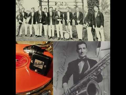 Dusting the Donkey - California Ramblers (Golden Gate Orchestra) rec. 1925  ten.Sax. Adrian Rollini
