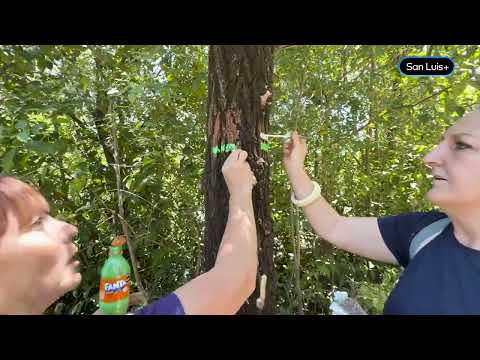 El sendero de las garzas en El Trapiche - San Luis Profundo - 17 - 12 - 2025