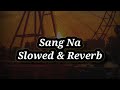 Sang Na Punjabi Song Slowest World Slowed Reverb