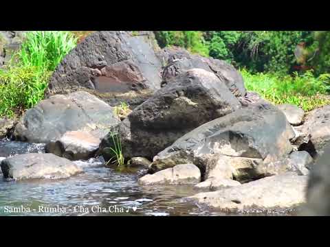 Beautiful Spanish Guitar Music   Super Relaxing Rumba   Mambo   Samba Latin Music  Best Guitar Music