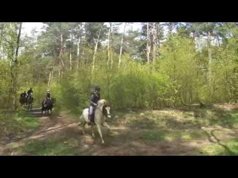 Teren Śmigus Dyngus - Podkowa Gruszczyn 2014