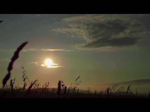 FOLKBEAT - Соколонько