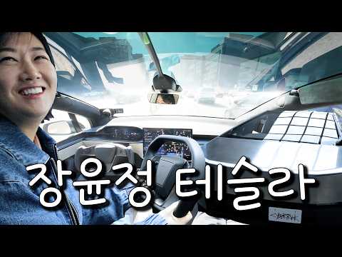제가 이거 타려고 아직 차를 안 샀나봅니다 l 테슬라 FSD 시승기