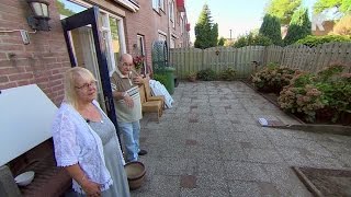Zwerfkattenopvang Rijnmond geeft poezen een tweede kans. Kijk hier de 