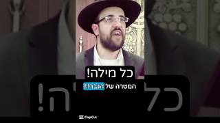 הרב מאיר אליהו | המטרה של הגבר בבית 🎯 #מטרות #שלום_בית #הרב_מאיר_אליהו (הרב מאיר אליהו) - התמונה מוצגת ישירות מתוך אתר האינטרנט יוטיוב. זכויות היוצרים בתמונה שייכות ליוצרה. קישור קרדיט למקור התוכן נמצא בתוך דף הסרטון