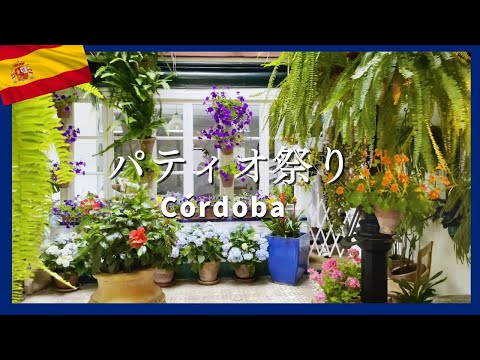 Espanha [Festival do Pátio] Festival das flores de Córdoba traz o verão da Andaluzia Pátio de Córdoba