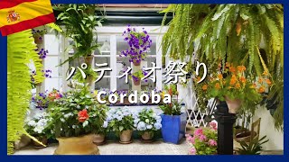 スペイン【パティオ祭り】アンダルシアの夏を呼び込むコルドバの花祭り Patio de Cordoba