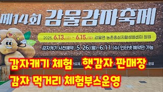 감물 감자축제 청정괴산 자연울림 충북 괴산군 감물면 햇감자판매장 감자캐기체험 감자먹거리 체험부스 운영 [풀뿌…